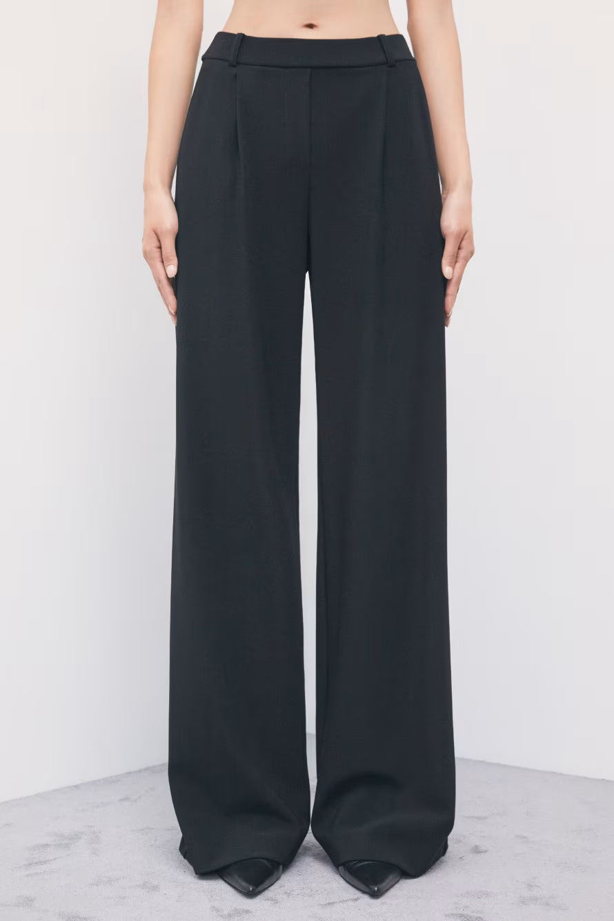 Pantaloni palazzo con pinces